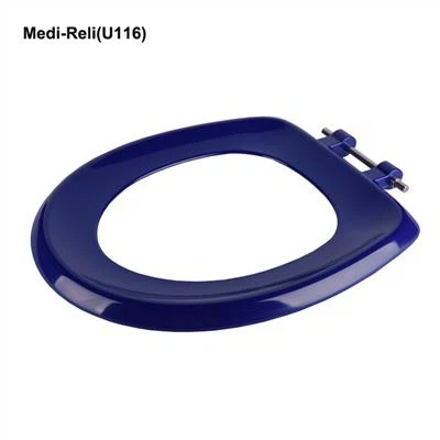 블루 라운드 변기